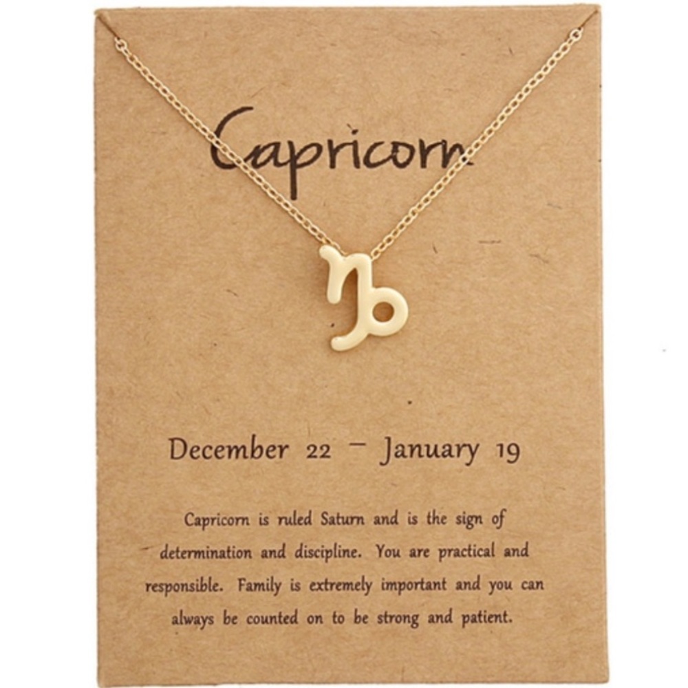 Capricorn ♑️ Zodiac Sign Necklace